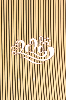Diary 2020: Diary 2020 Day to Page | 2020 Daily Planner Hourly View | Agenda Planner for 365 days | Planner with Note Space | 6" x 9" (15.24 x 22.86 cm)