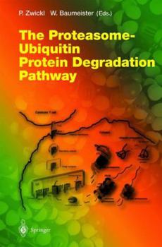 Paperback The Proteasome -- Ubiquitin Protein Degradation Pathway Book