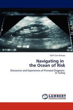 Paperback Navigating in the Ocean of Risk Book