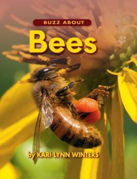 Hardcover Buzz about Bees Book