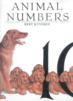 Hardcover Animal Numbers Book