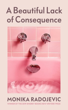 Hardcover A Beautiful Lack of Consequence Book