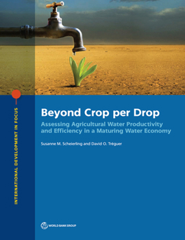 Beyond Crop Per Drop: Assessing Agricultural Water Productivity and Efficiency in a Maturing Water Economy