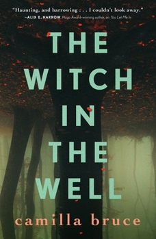 Paperback The Witch in the Well Book