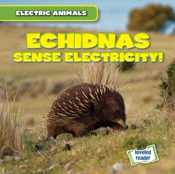 Paperback Echidnas Sense Electricity! Book