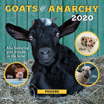 Calendar Goats of Anarchy 2020: 16 Month Calendar September 2019 Through December 2020 Book