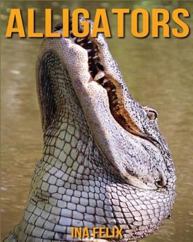 Paperback Alligators: Children Book of Fun Facts & Amazing Photos on Animals in Nature - A Wonderful Alligators Book for Kids aged 3-7 Book