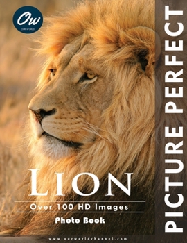 Paperback Lion: Picture Perfect Photo Book