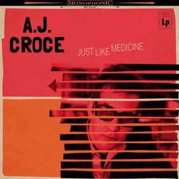 Vinyl Just Like Medicine Book