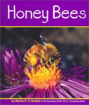 Library Binding Honey Bees Book