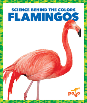 Paperback Flamingos Book