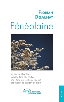 Pénéplaine (French Edition)