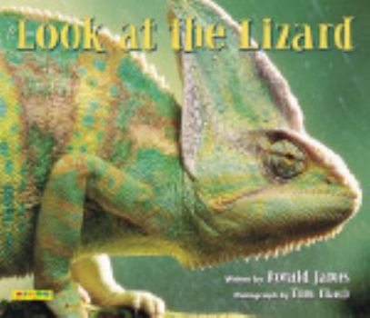 Paperback Look at the Lizard Book