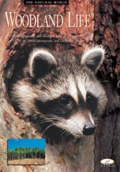 Paperback Woodland Life Book