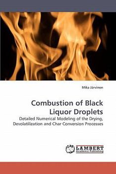 Paperback Combustion of Black Liquor Droplets Book