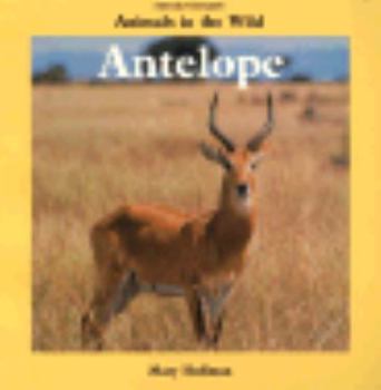 Paperback Antelope: Animals in the Wild Book