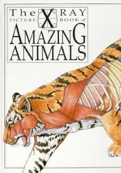 Library Binding Amazing Animals Book
