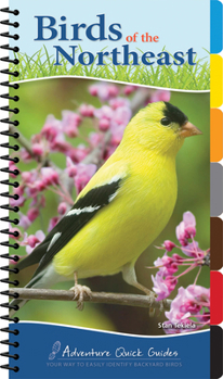 Spiral-bound Birds of the Northeast: Your Way to Easily Identify Backyard Birds Book