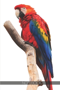 Paperback Notebook: Macaw parrot bird scarlett animal [110 pages]: Macaw parrot bird scarlett animal Book