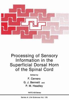 Paperback Processing of Sensory Information in the Superficial Dorsal Horn of the Spinal Cord Book