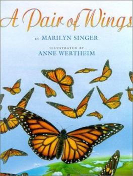 Hardcover A Pair of Wings Book