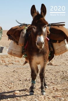 2020 A5 Diary Week To View Planner For All Occasions: | Year Planner For Business, Office, Home, University, College, School, Appointments, Organizer.