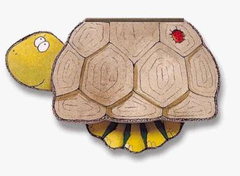 Board book Tortoise Book