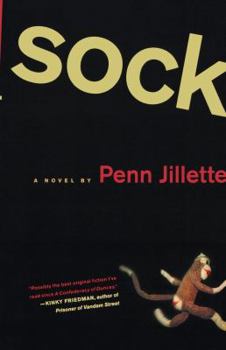 Paperback Sock Book