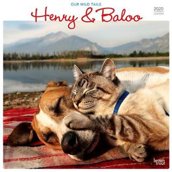Calendar Henry & Baloo Our Wild Tails 2020 Square Book