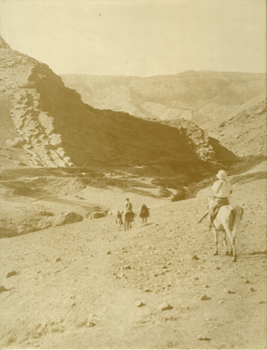 Holmes Expeditions to Luristan/Text and Plates (University of Chicago Oriental Institute Publications)
