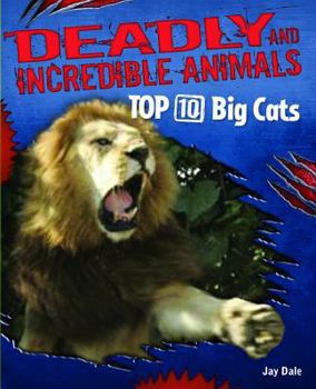 Library Binding Top 10 Big Cats Book