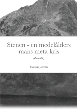 Paperback Stenen - en medelålders mans meta-kris [Swedish] Book