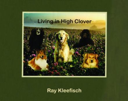 Hardcover Living in High Clover Book