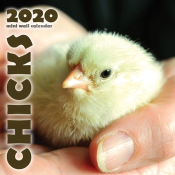 Paperback Chicks 2020 Mini Wall Calendar Book