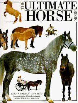 Hardcover Ultimate Horse Book