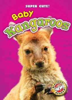 Baby Kangaroos - Book  of the Super Cute!