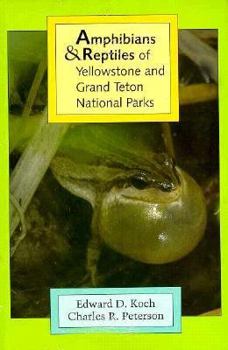 Paperback Amphibians and Reptiles of Yellowstone and Grand Teton National Parks Book