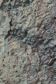 Happy Birthday Book: Happy Birthday Gifts Lined Journal Notebook  (11)  | Journal For Women, Friend Coworker  Birthday Gifts | Funny Gag Gift | Funny ... | 21 Birthday Gag Gifts For Best Friend)