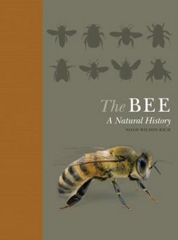 The Bee: A Natural History