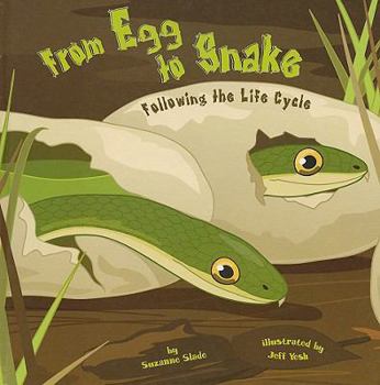 Hardcover From Egg to Snake: Following the Life the Cycle Book