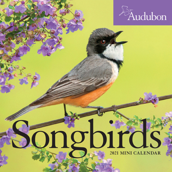 Calendar Audubon Songbirds Mini Wall Calendar 2021 Book