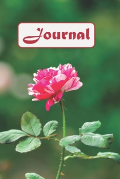 Paperback Journal: Lined Pages Notebook / Diary - 6x9 inches (DIN 5), 100 Pages Book