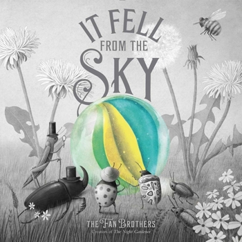 Hardcover It Fell from the Sky Book
