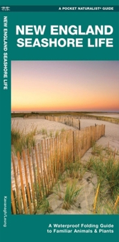 Paperback New England Seashore Life: A Folding Guide to Familiar Animals & Plants Book