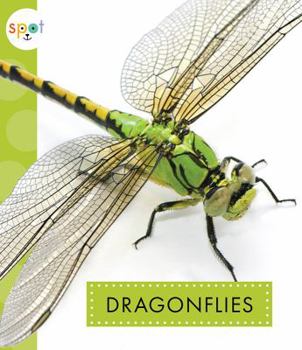 Dragonflies - Book  of the Spot Creepy Crawlies