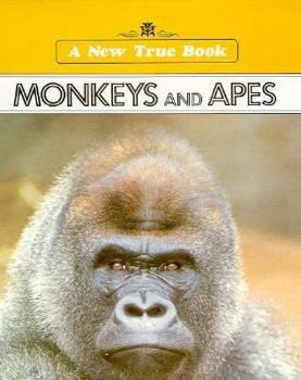 Hardcover Monkeys and Apes Book