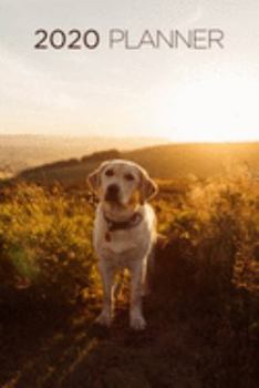 2020 Planner: Increase productivity, improve time management, reach your goals: Adorable Labrador Retriever: Modern artistic photography style