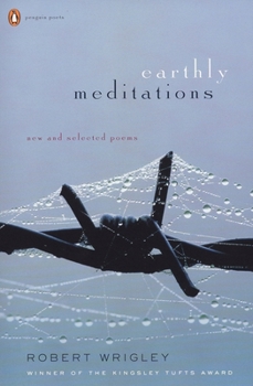 Paperback Earthly Meditations: New and Selected Poems Book