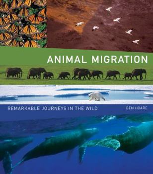 Hardcover Animal Migration: Remarkable Journeys in the Wild Book