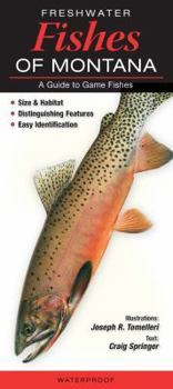 Pamphlet Freshwater Fishes of Montana: A Guide to Game Fishes Book